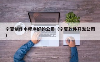 樟树宁夏制作小程序好的公司（宁夏软件开发公司）